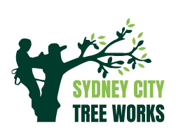 Sydney City Tree Works